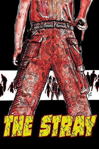 The Stray poster