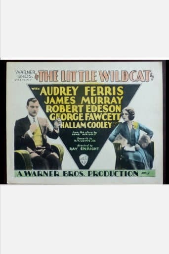 The Little Wildcat poster