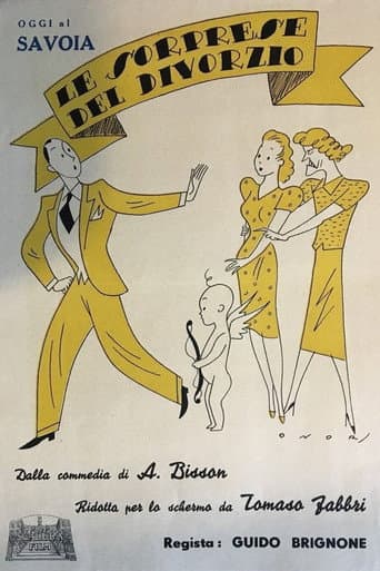 Le sorprese del divorzio poster