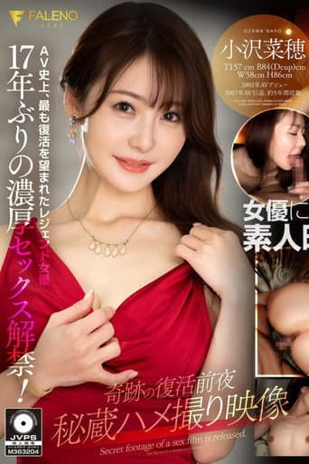 奇跡の復活前夜 秘蔵ハメ撮り映像 小沢菜穂 poster