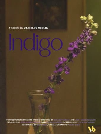 INDIGO poster