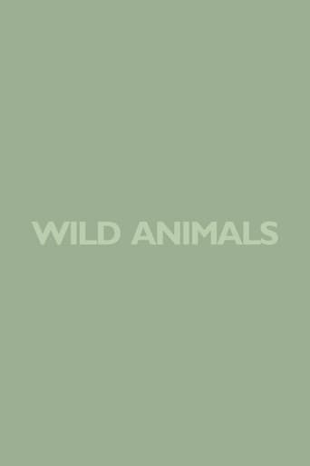 Wild Animals poster