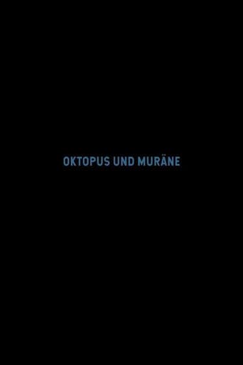 Octopus and Moray poster