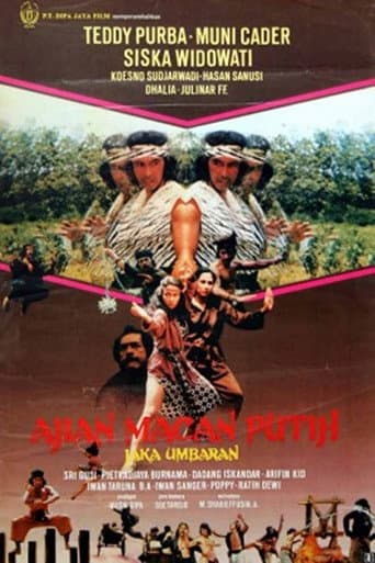 Charm of the White Tiger poster