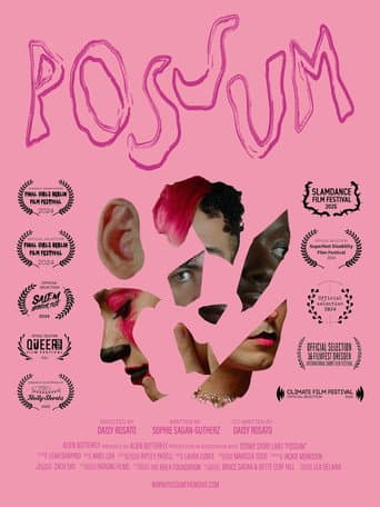 POSSUM poster
