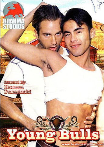 Young Bulls poster