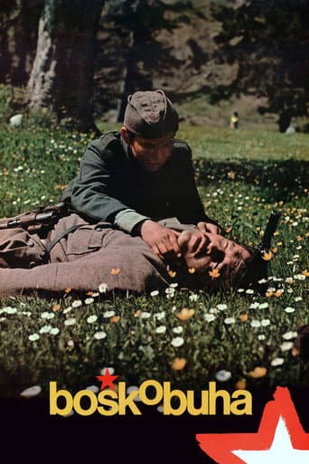 Boshko Buha poster