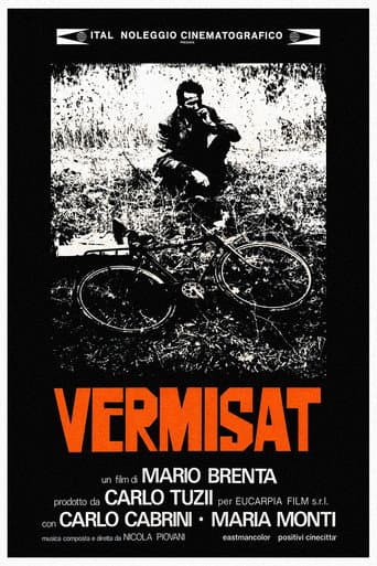 Vermisat poster