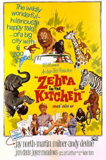Zebra in the Kitchen poster