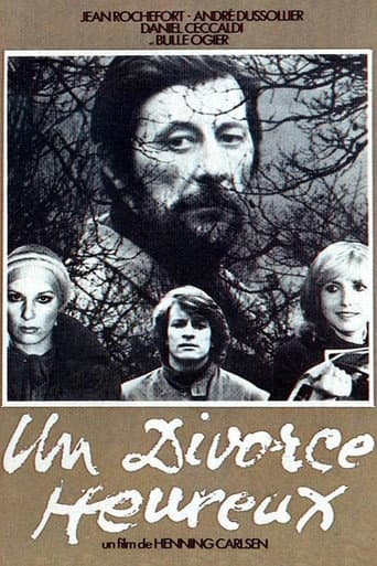 A Happy Divorce poster
