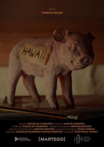 Hawaii poster