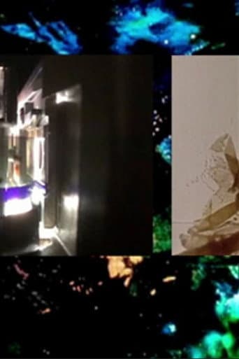 Brakhage by Mothlight poster