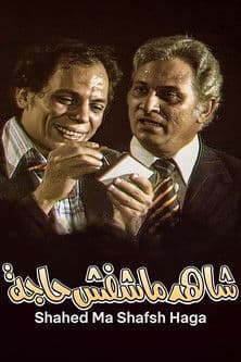 The Witness Who Didn't See Anything poster