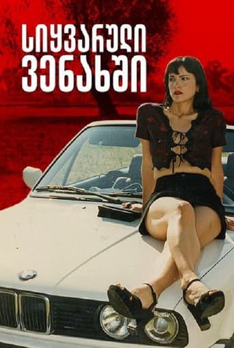 Love At The Vineyard poster