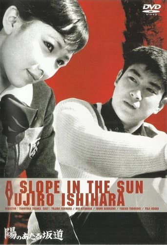 A Slope in the Sun poster