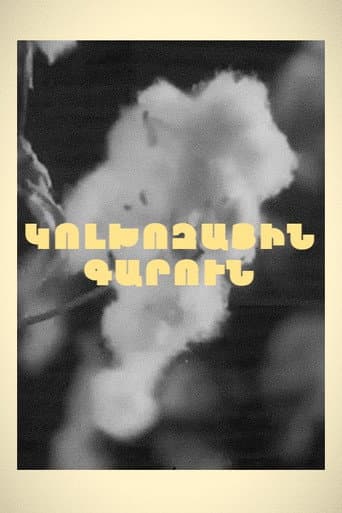Spring in Kolkhoz poster