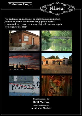 Flâneur (El paseador) poster