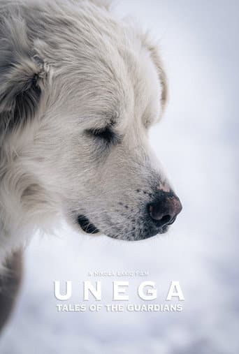 Unega | Tales Of The Guardians poster
