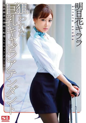 狙われた巨乳キャビンアテンダント 性欲解消肉便器に転落したキャリアウーマン 明日花キララ poster