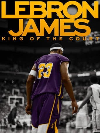 LeBron James: King of the Court poster