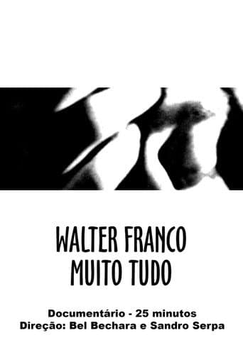Walter Franco Much Everything poster