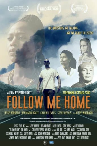 Follow Me Home poster