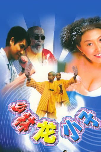 少林龙小子 poster