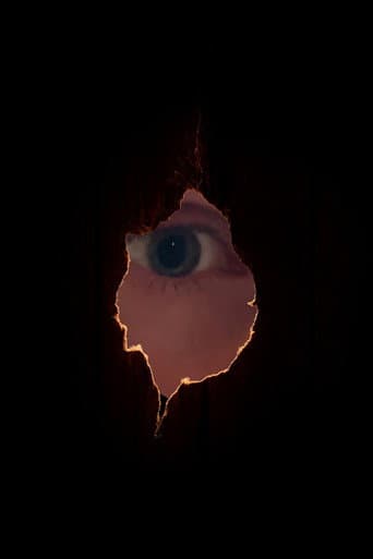 The Golden Monkey poster