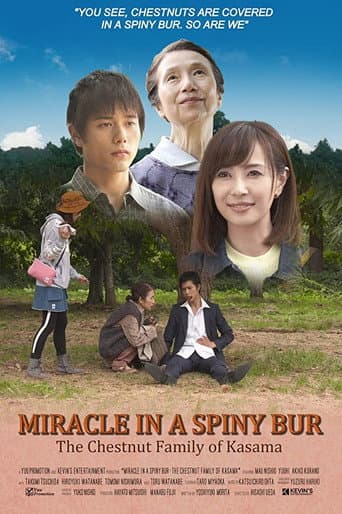 Miracle in Kasama poster
