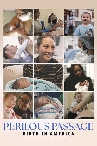 Perilous Passage: Birth in America poster