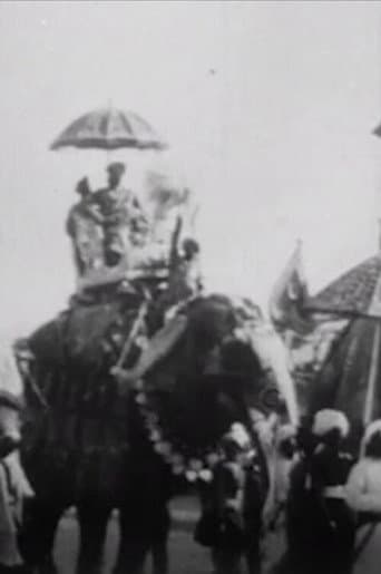 Procession of Elephants with Howdahs - India poster