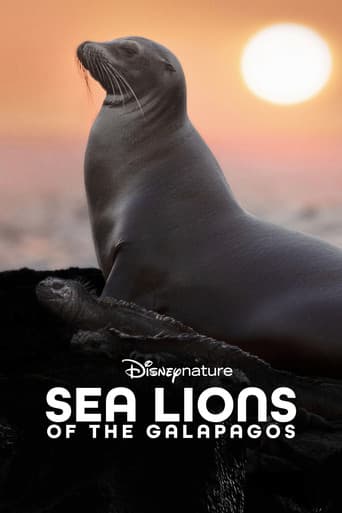 Sea Lions of the Galapagos poster
