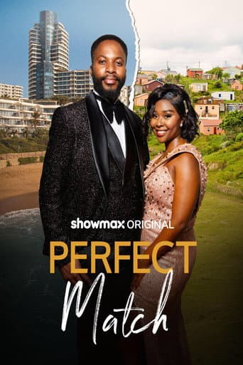 Perfect Match poster