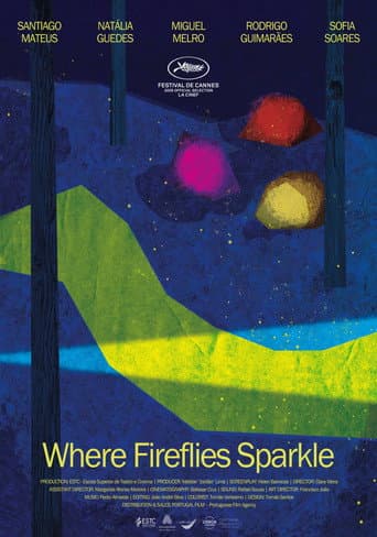 Where Fireflies Sparkle poster