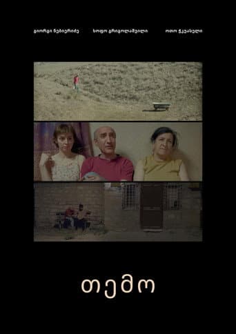 Temo poster