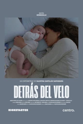 Detrás del Velo poster
