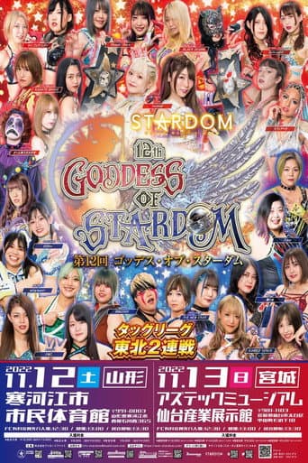 Stardom 12th Goddesses of Stardom Tag League in Sagae poster