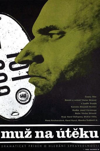 A Man on the Run poster