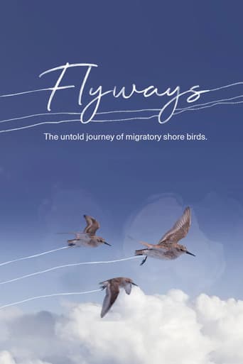 Flyways: The Untold Journey of Migratory Shorebirds poster