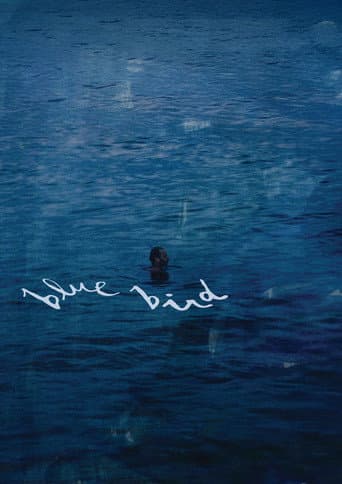 Blue Bird poster
