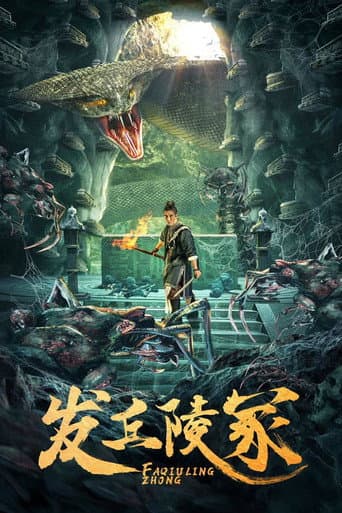 发丘陵冢 poster