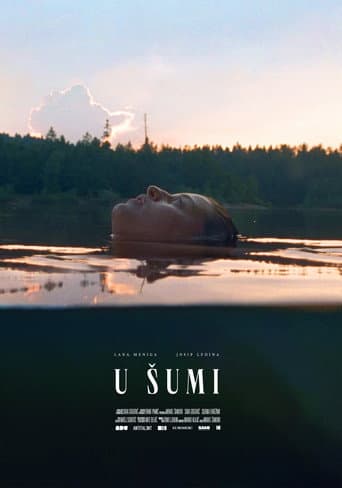 In the Woods poster