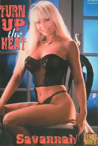 Turn Up The Heat poster