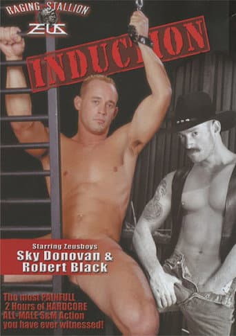 Induction poster