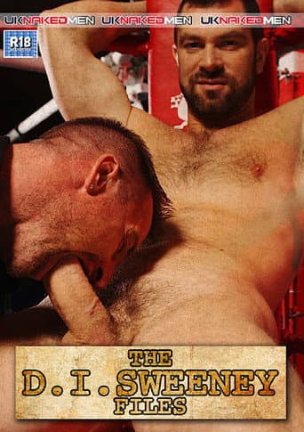 The D.I. Sweeney Files poster