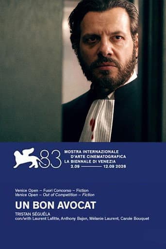 Un bon avocat poster