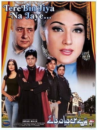 Tere Bin Jiya Na Jaye poster