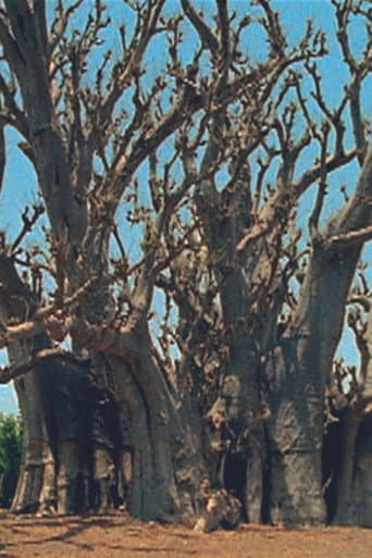 Baobab poster