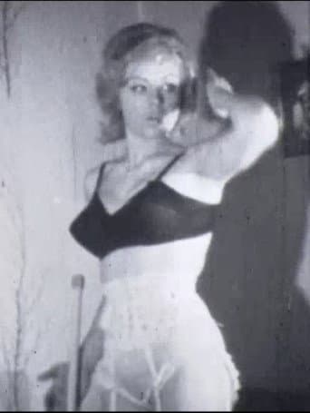 Model Maid poster