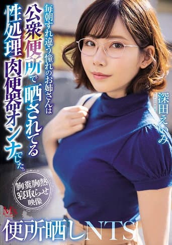 Bathroom Slut – The Hot Babe I’ve Always Wanted Likes To Let Other Guys Use Her In A Public Washroom. Eimi Fukada poster
